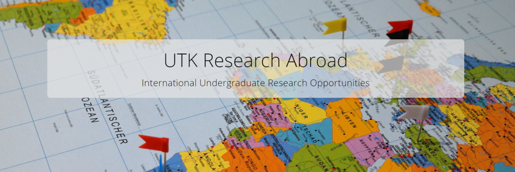 undergraduate research opportunities for international students