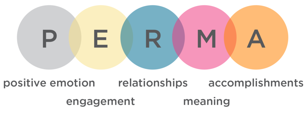 PERMA - positive emotion, engagement, relationships, meaning, and accomplishments