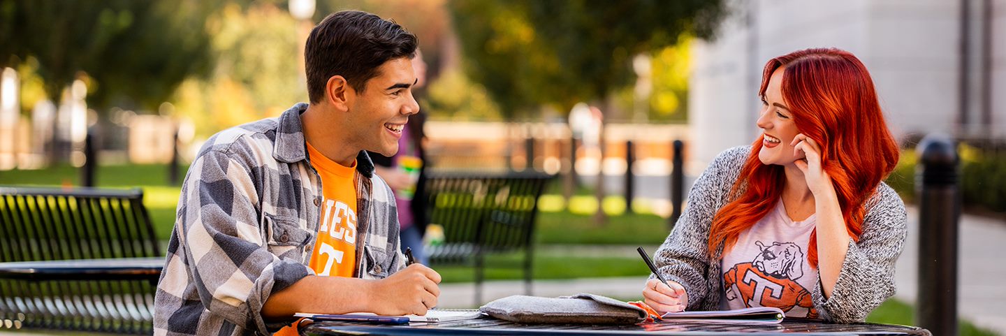 Students studying