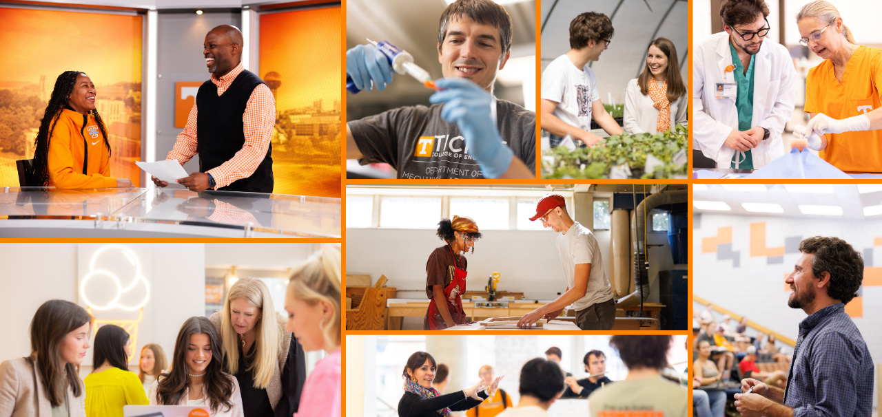 Collage of University of Tennessee faculty and students engaged in academic activities, including a campus interview, laboratory research, plant science work, medical training, collaborative study sessions, woodworking in a shop, and classroom instruction.