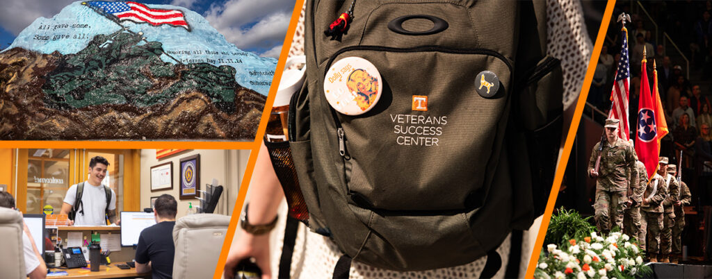 Veterans collage