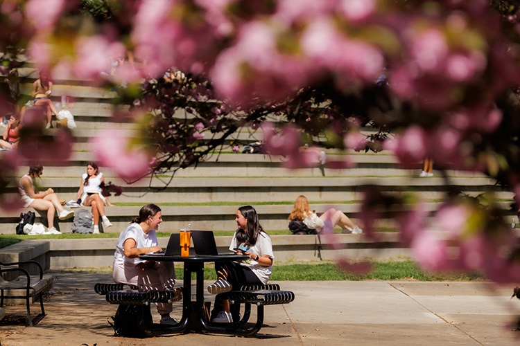 WVLT: New UT Programs Target Student Success as Spring Semester Begins