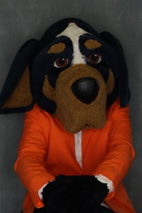 Professional headshot of Amanda Griffifths