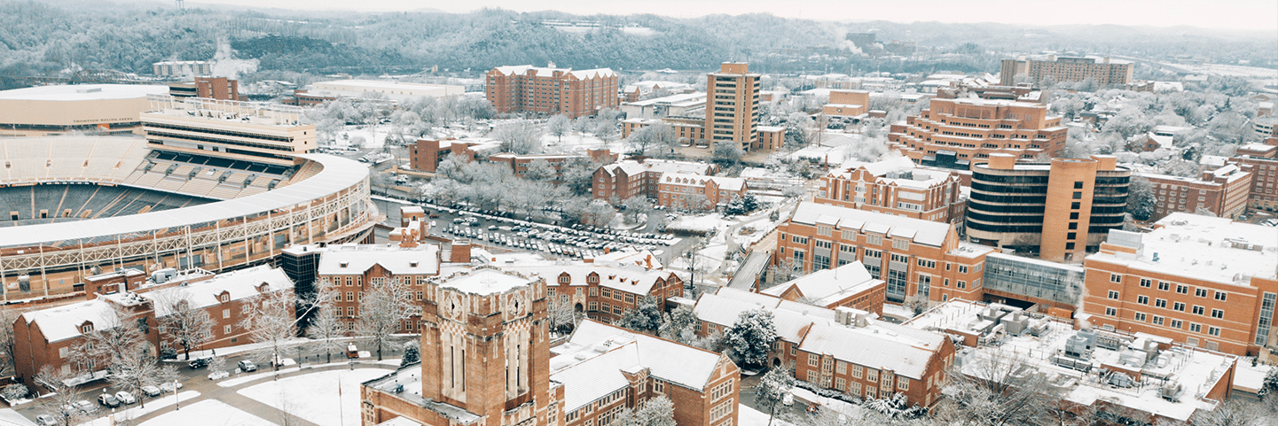 Winter Mini-Term Tips